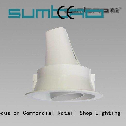 OEM 4 inch recessed lighting dw0153 5000K spotlights LED Recessed Spotlight