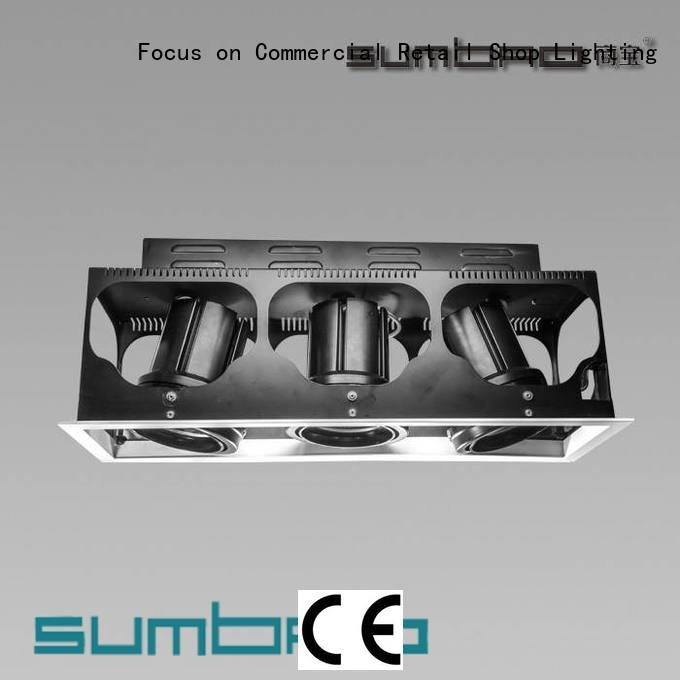 Custom LED Recessed Spotlight dw0303 3000K voltage SUMBAO