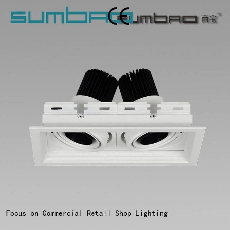 OEM 4 inch recessed lighting spotlights dw0521 trunk LED Recessed Spotlight