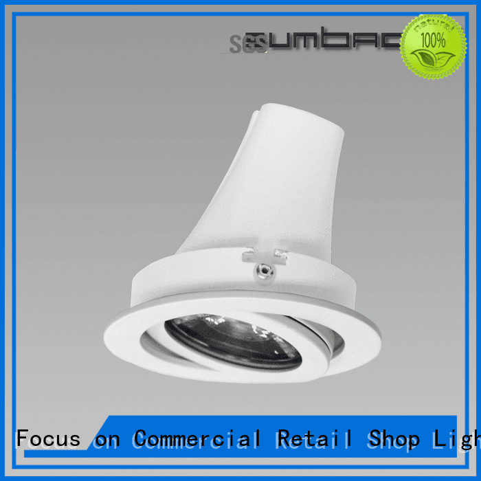 Hot 4 inch recessed lighting Exhibition room LED Recessed Spotlight dw065 SUMBAO